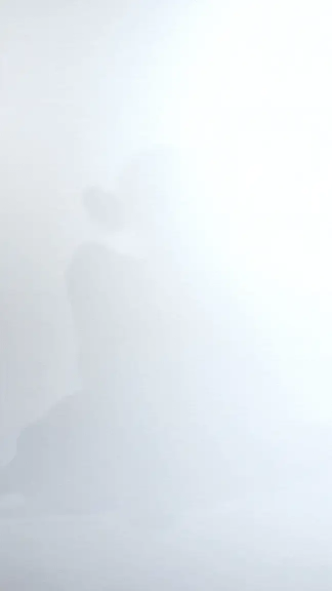 Ilia Bra - Image 7